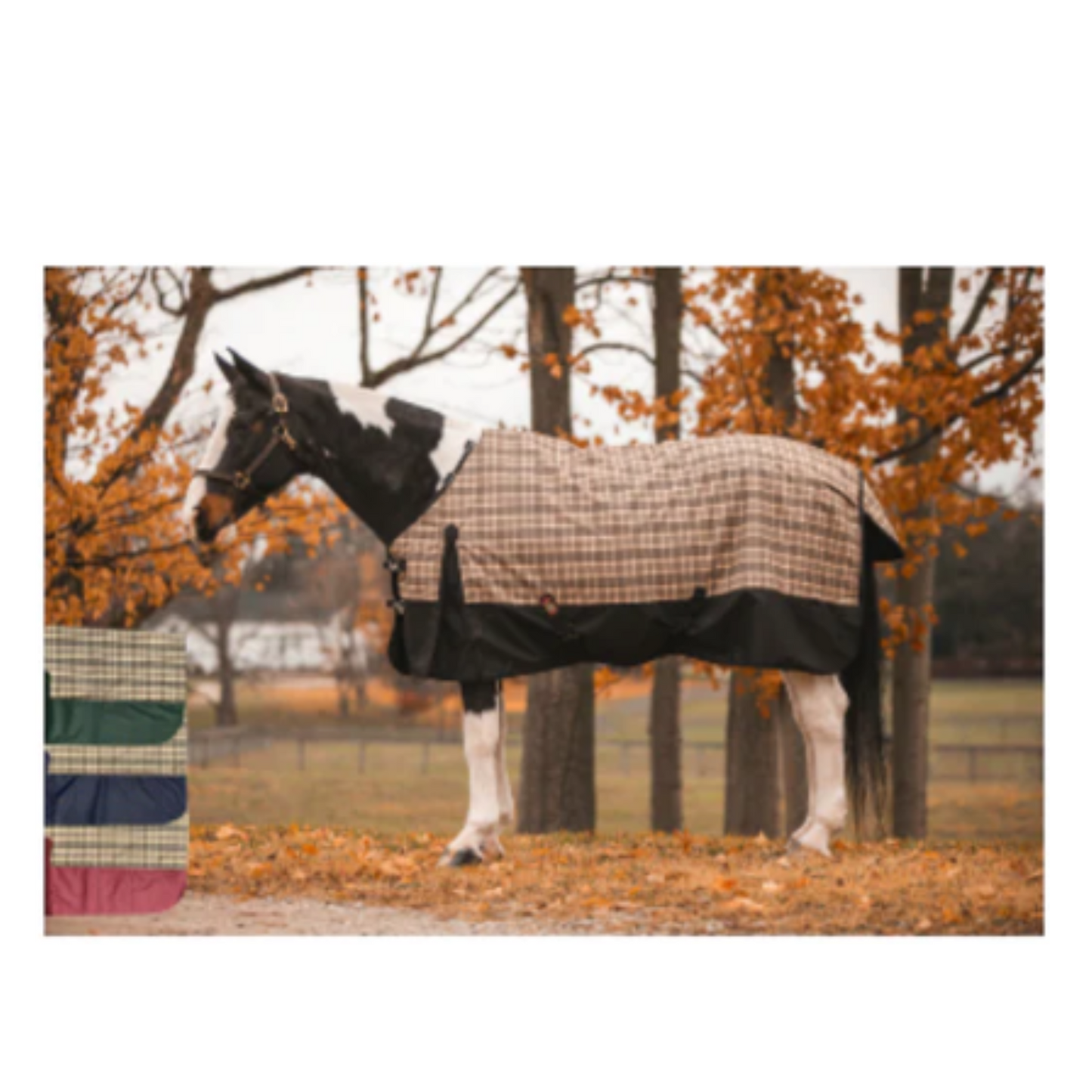 5/A Baker® Black Label Medium Weight Turnout Blanket 200 Gram
