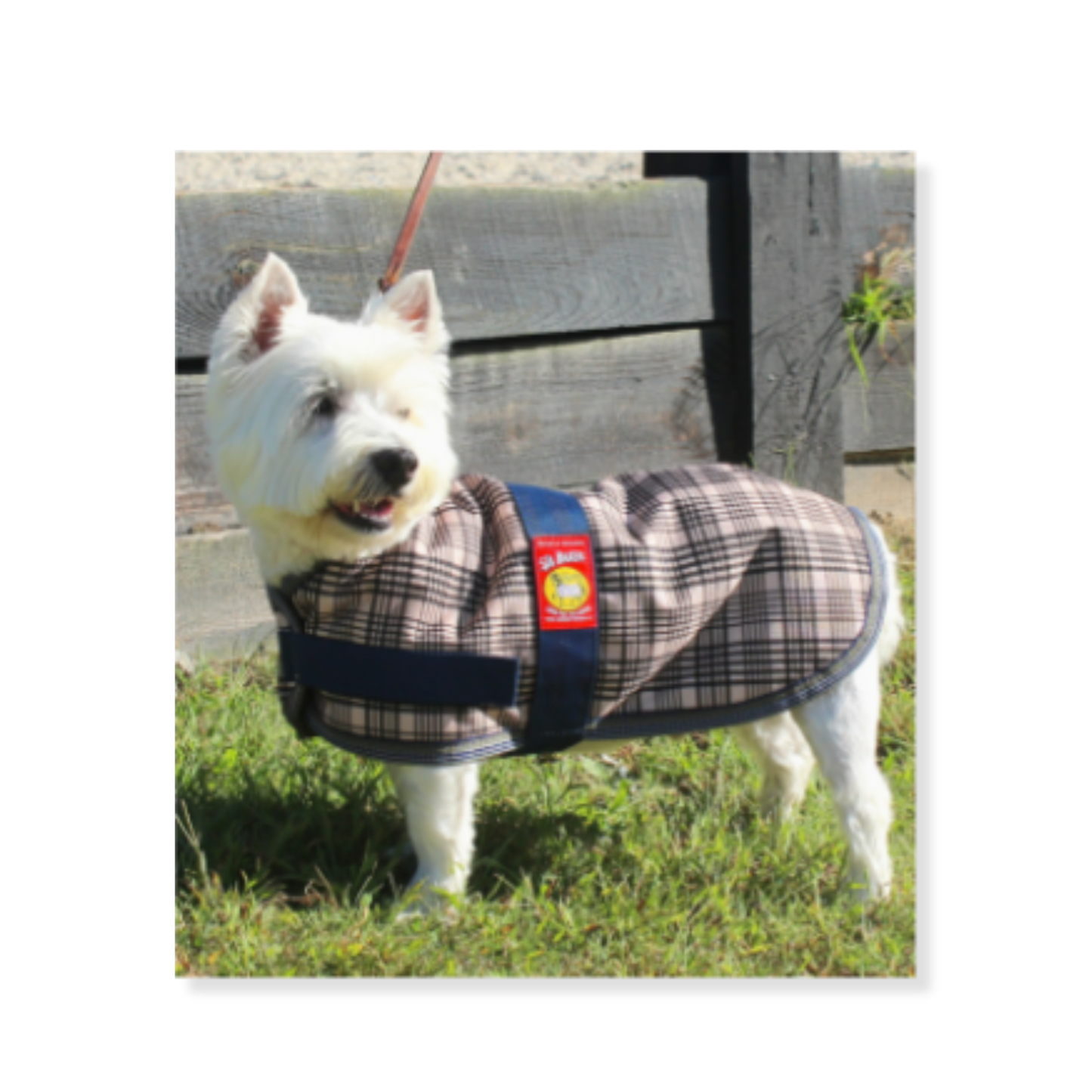 5/A Baker® Dog Blanket