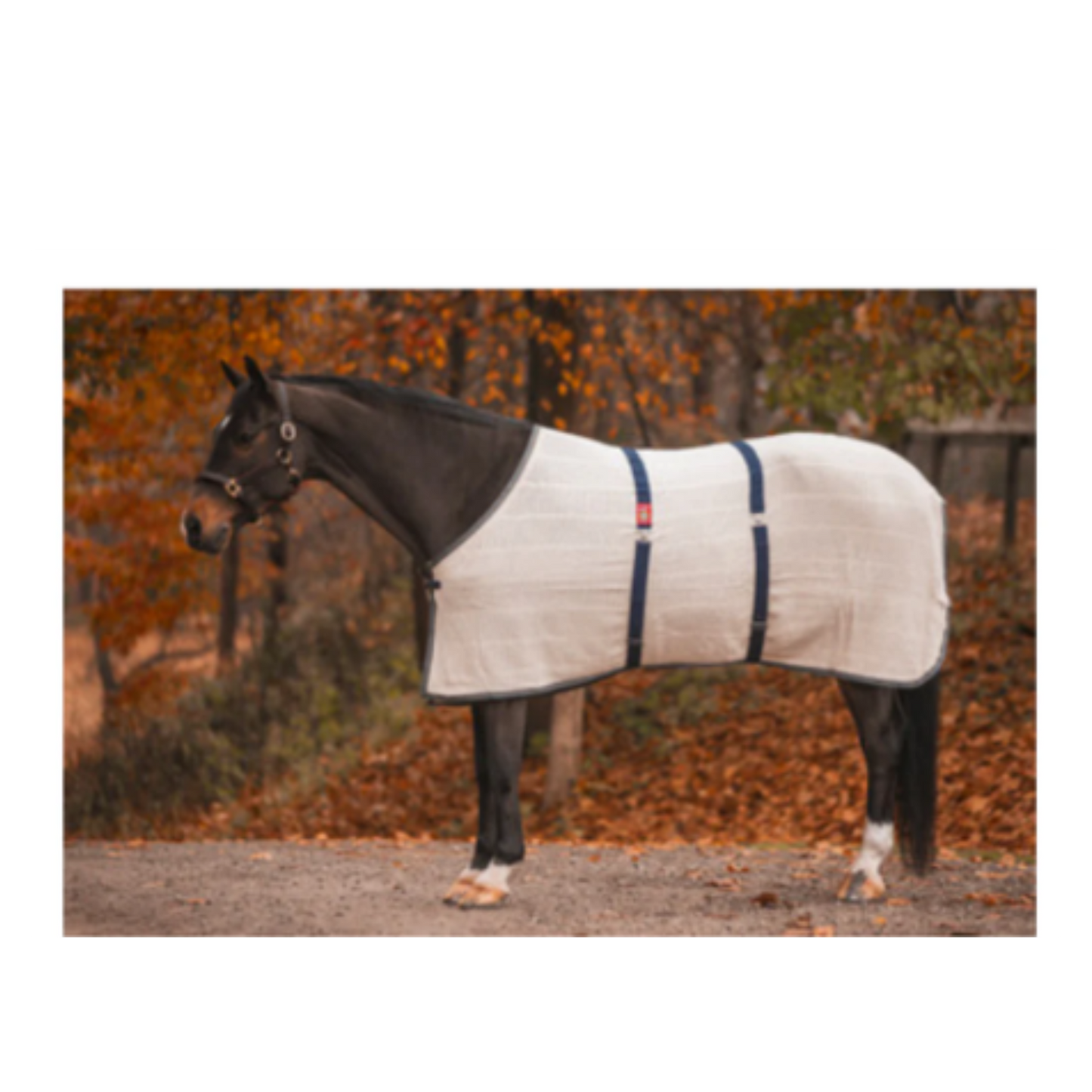 5/A Baker® Irish Knit Anti-Sweat Sheet