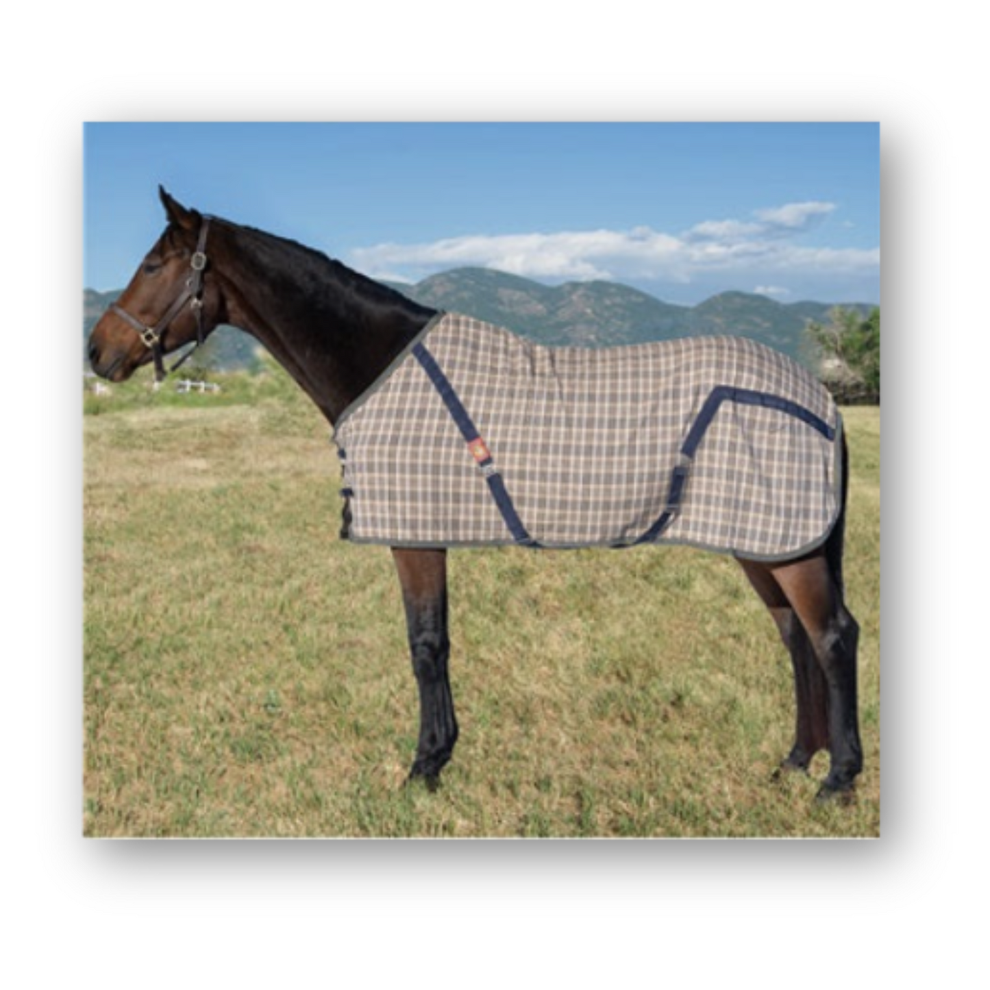 5/A Baker® Stable Sheet
