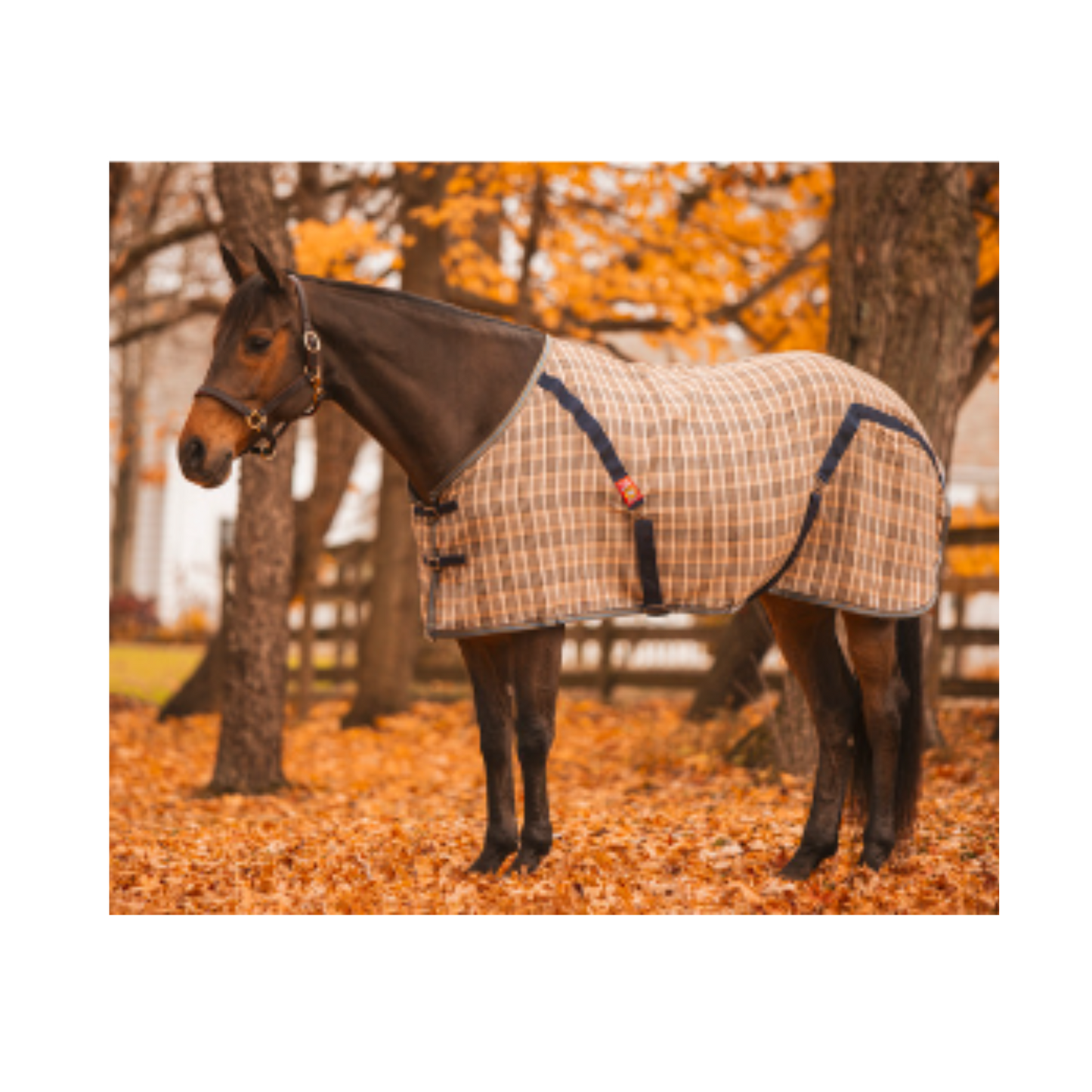 5/A Baker® Stable Sheet
