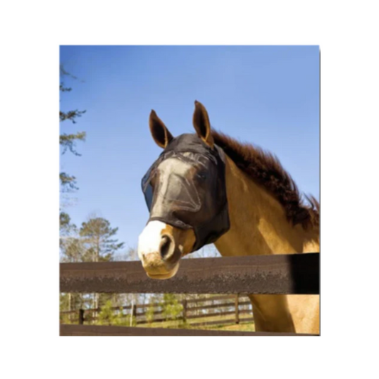 Absorbine® UltraShield® Fly Mask Without Ears