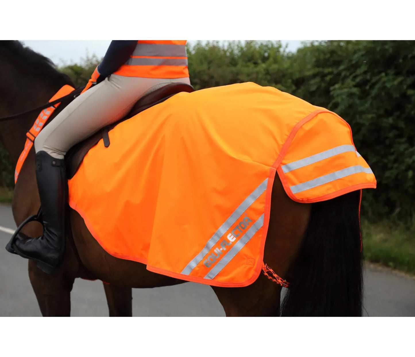 EQUI-FLECTOR® Mesh Exercise Sheet