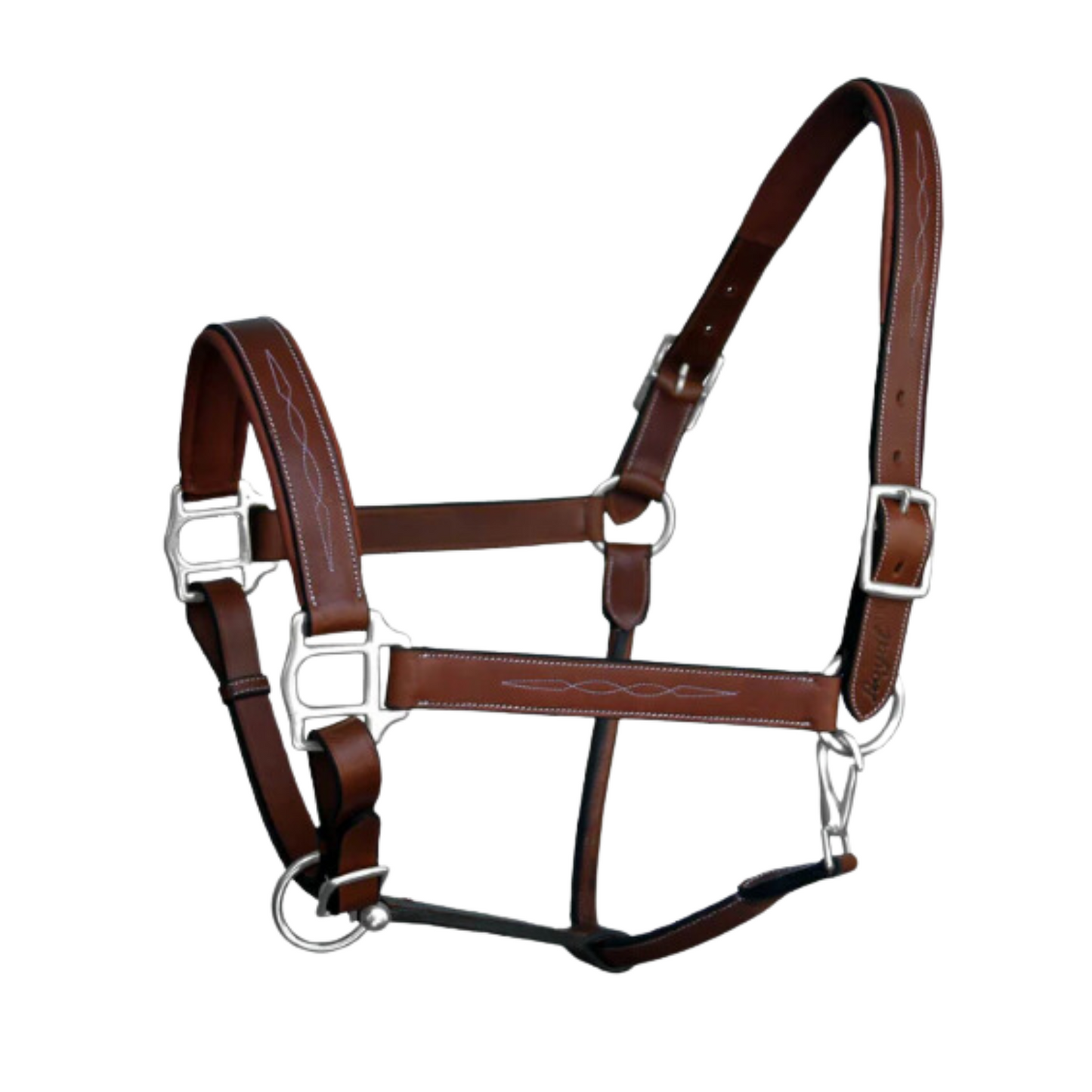 ExionPro Six Fancy Padded Halter- Brass Nickel Hardware