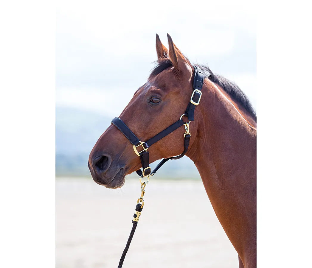 Topaz Leather Breakaway Nylon Halter