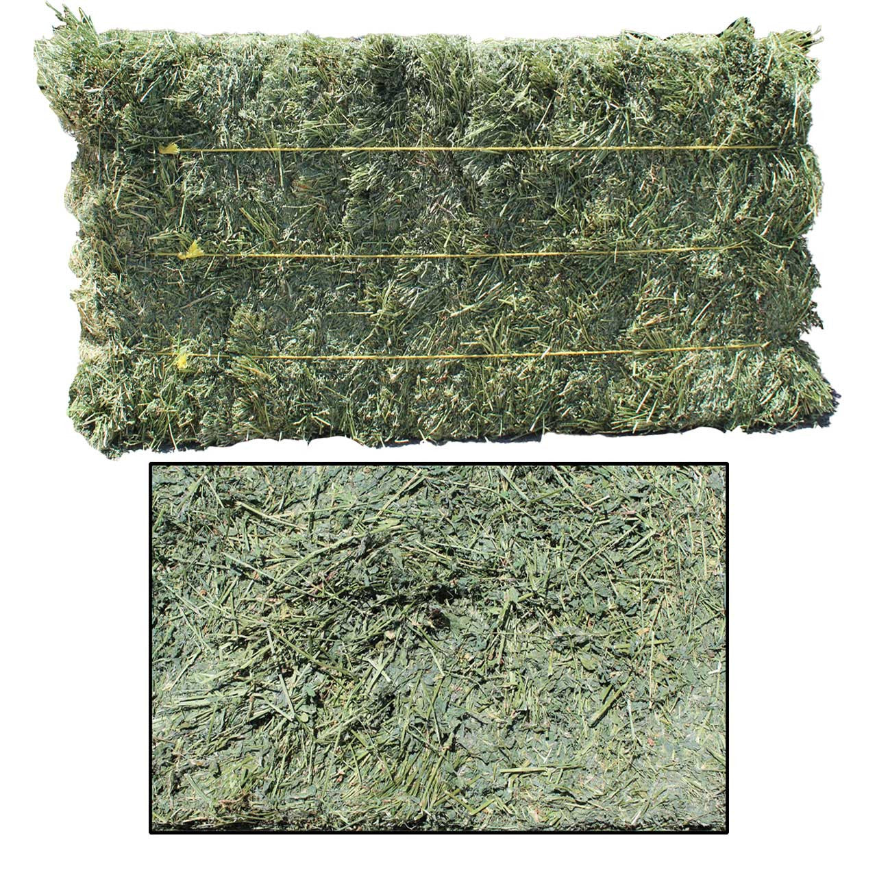 Alfalfa Hay
