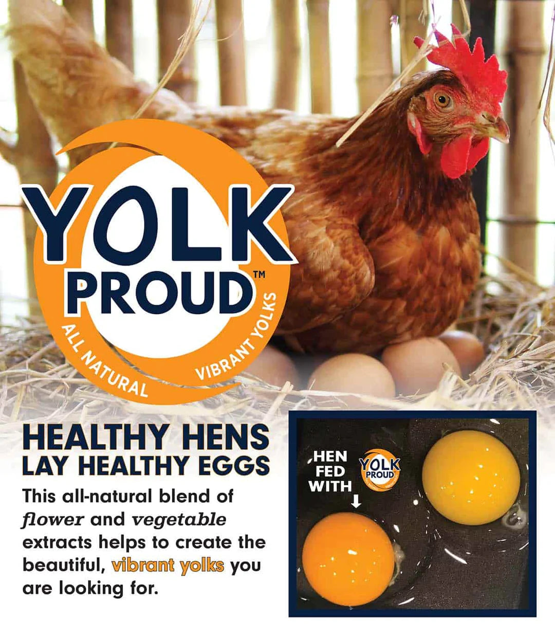 17% All Natural Layer Pellets for Chickens