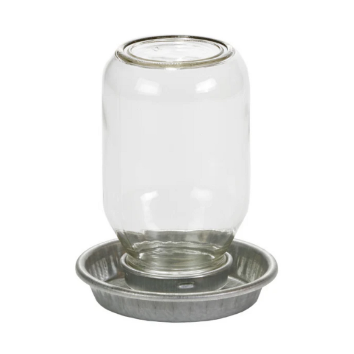 Little Giant® Mason Jar Baby Chick Waterer