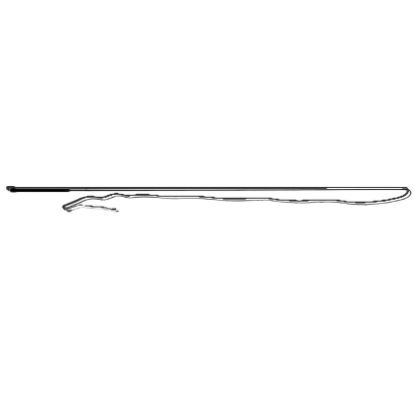 Lunge Whip