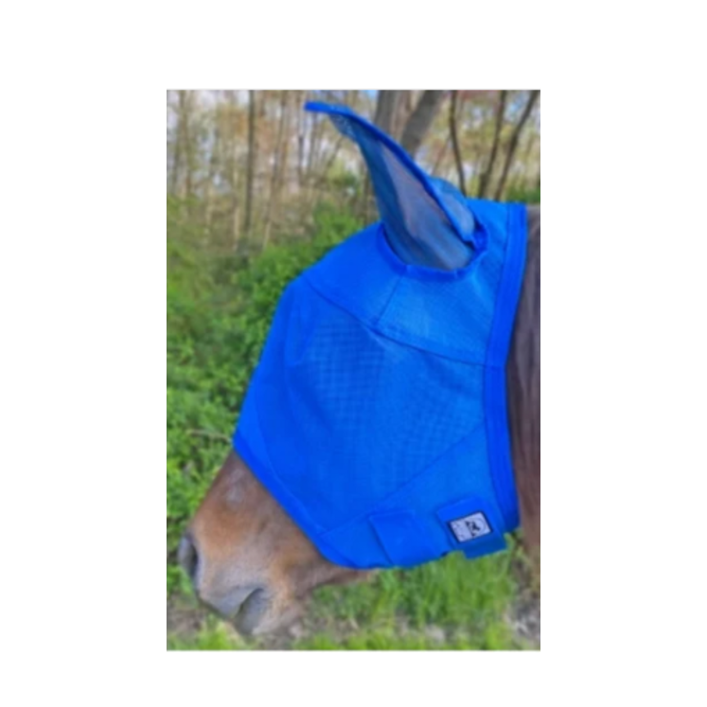 Rip Resistant Mesh Fly Mask With Ears