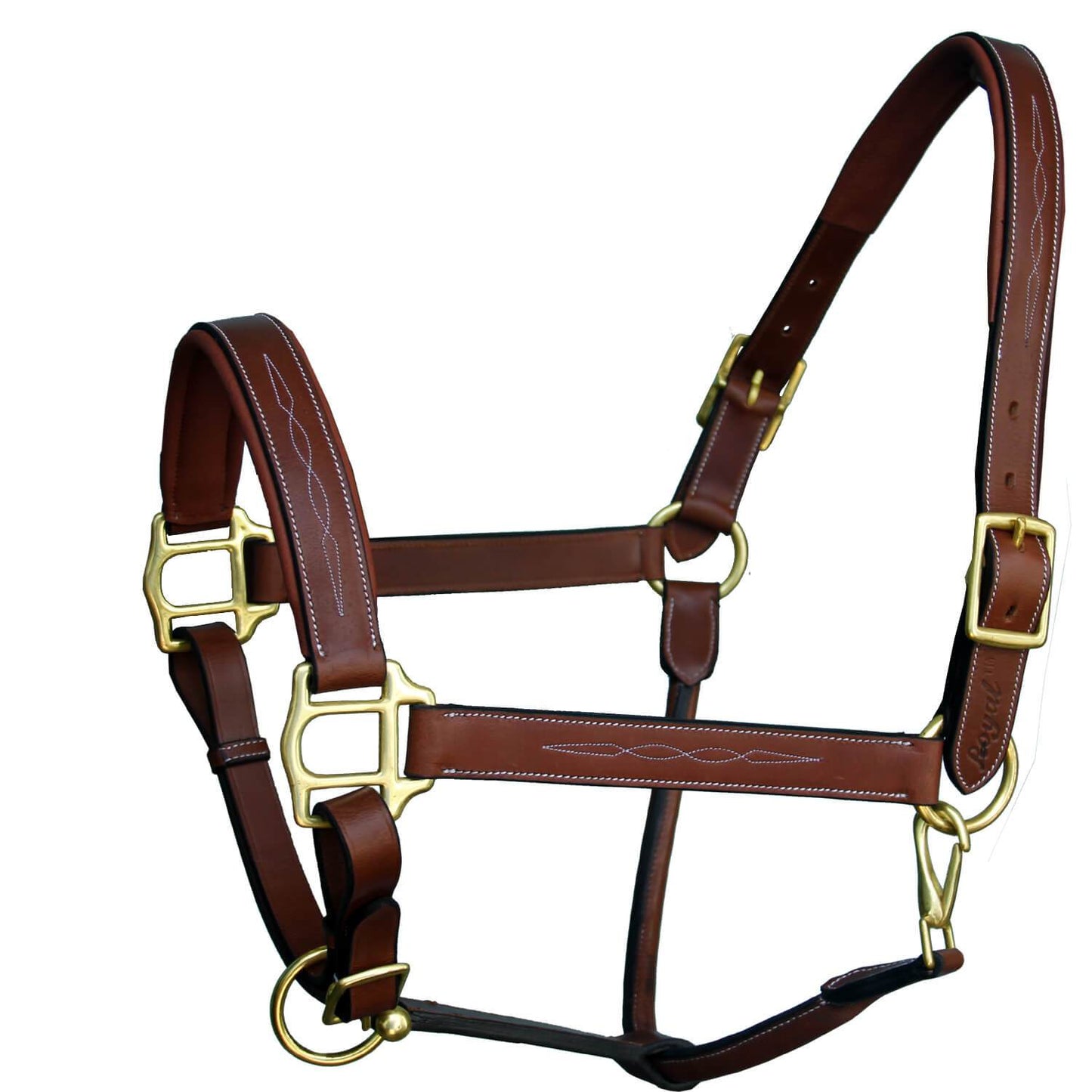 ExionPro Six Fancy Padded Halter-Brass Hardware