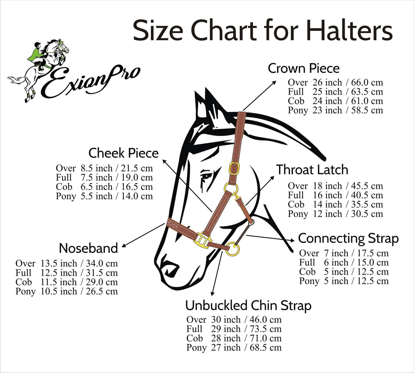 ExionPro Six Fancy Padded Halter- Brass Nickel Hardware