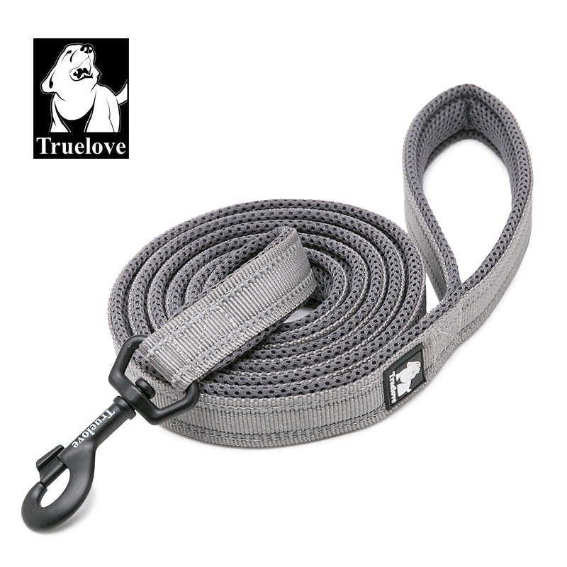 Reflective Leash
