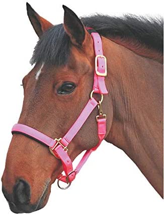 Topaz Leather Breakaway Nylon Halter