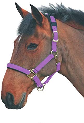 Topaz Leather Breakaway Nylon Halter