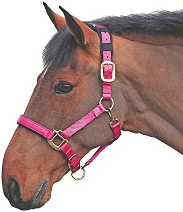 Topaz Leather Breakaway Nylon Halter