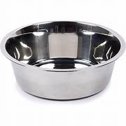 Dog Bowls