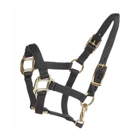 Deluxe Mini Halter