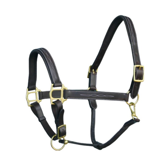 ExionPro Six Fancy Padded Halter-Brass Hardware