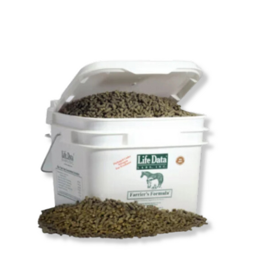 Farrier's Formula Pail