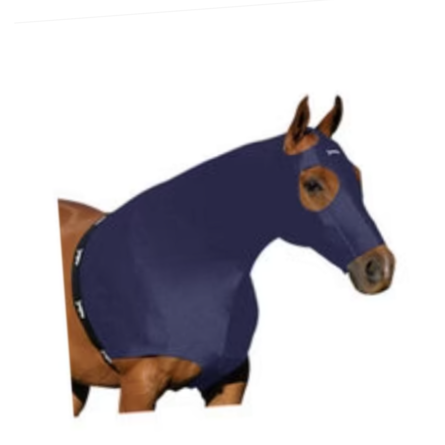 Horse Hoodie - Navy