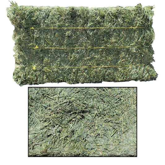 Alfalfa Hay