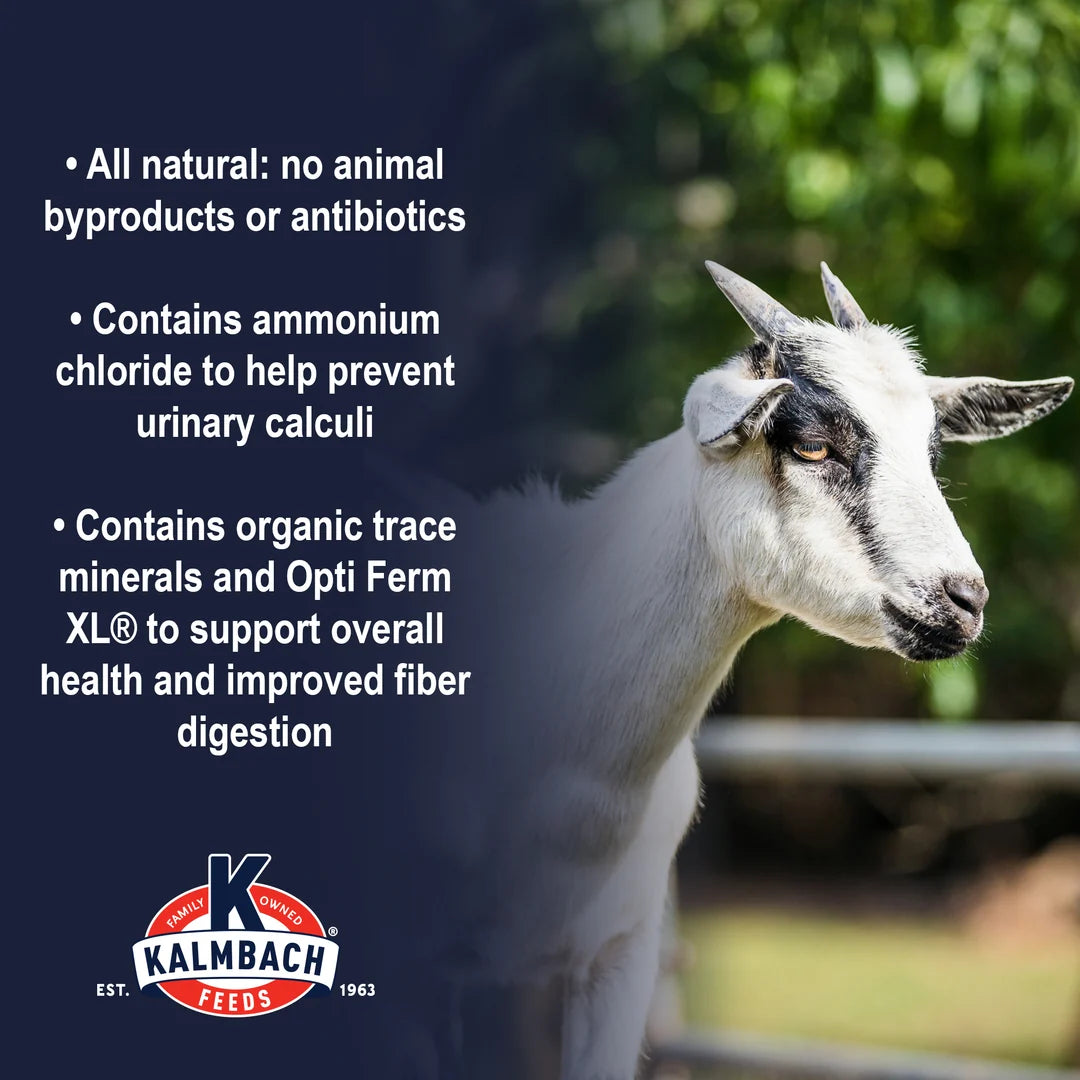 Game Plan® Milk & Meat Goat
