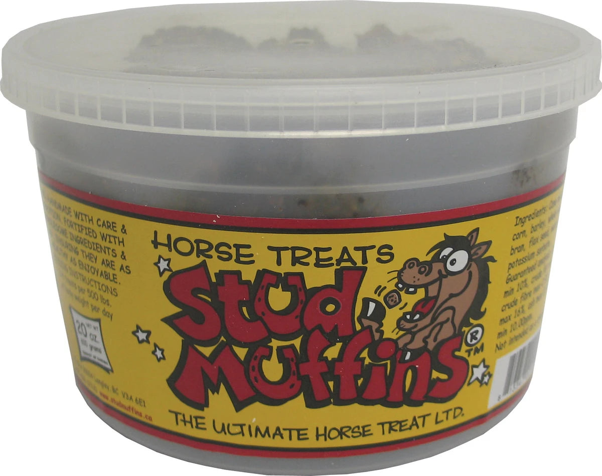 Stud Muffins Horse Treat Tub