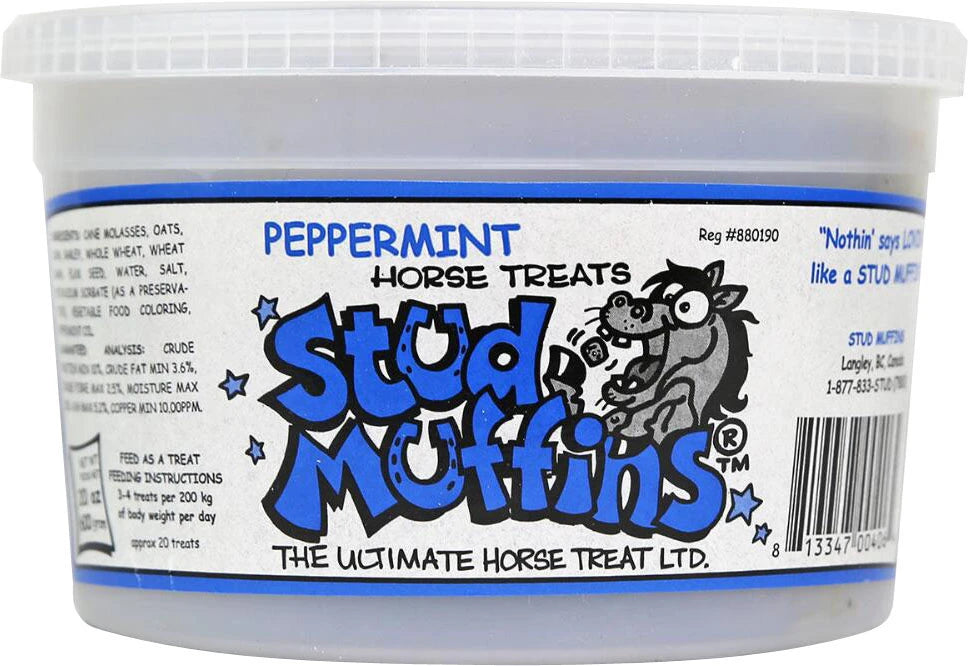 Stud Muffins Horse Treat Tub