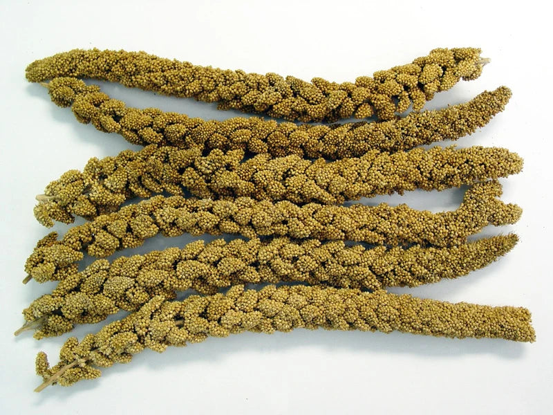 Spray Millet