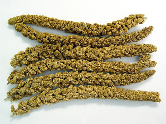 Spray Millet