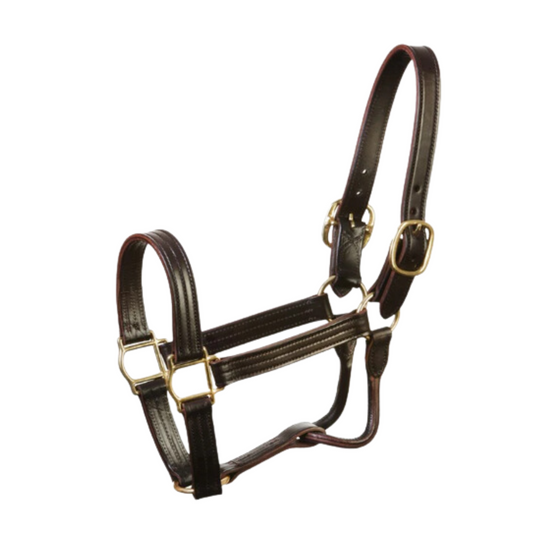 Leather 1-1/8" Track Halter