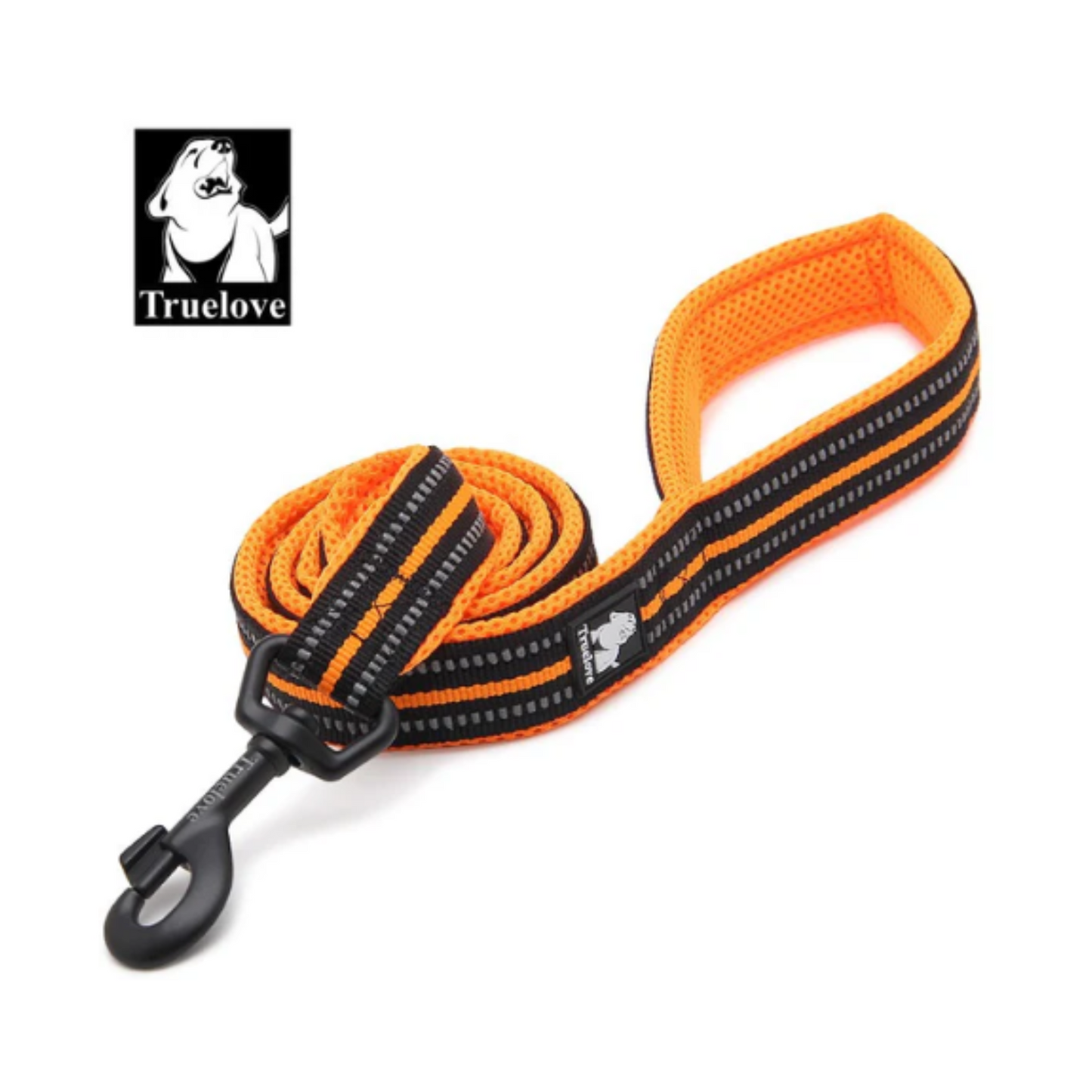 Reflective Leash