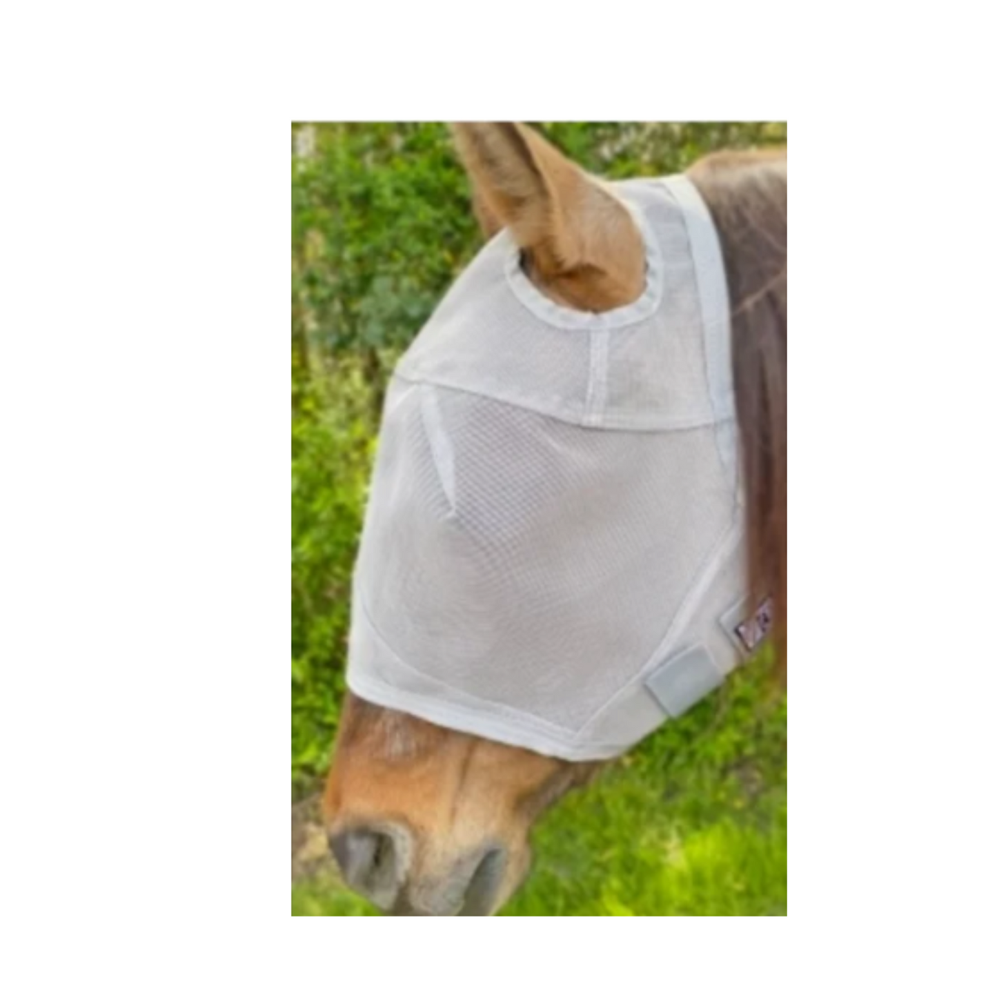 Rip Resistant Fly Mask W/ No Ears