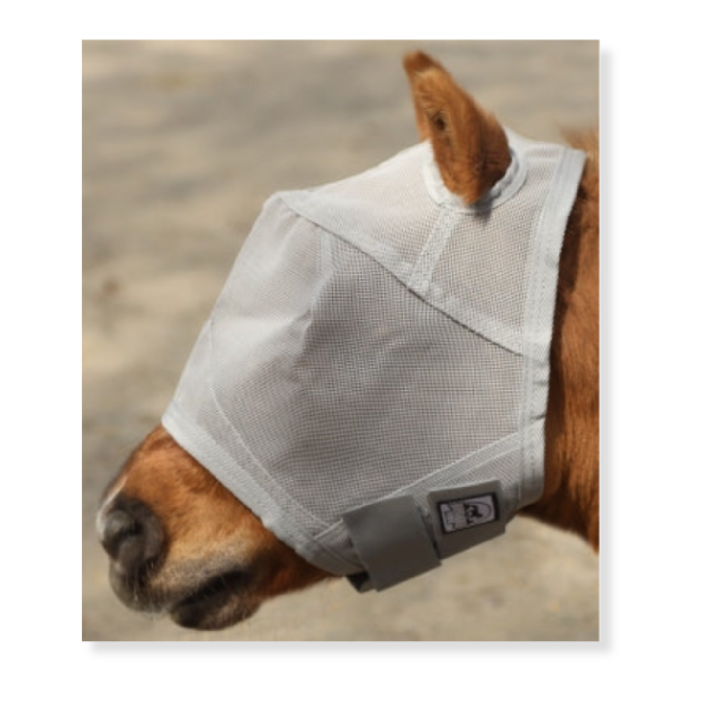 Rip Resistant Fly Mask W/ No Ears