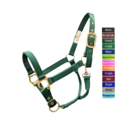 Valhoma BACS Halter