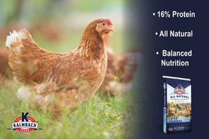 16% All Natural Layer Crumble for Chickens