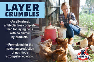 16% All Natural Layer Crumble for Chickens