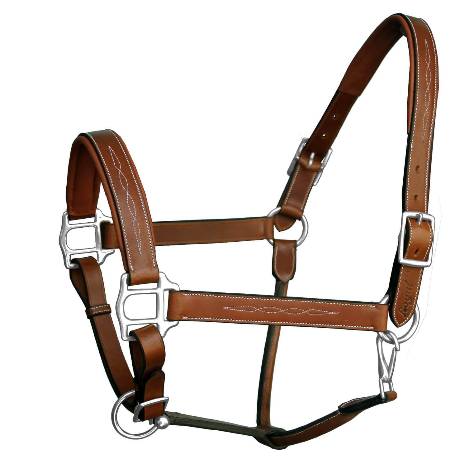 ExionPro Six Fancy Padded Halter- Brass Nickel Hardware