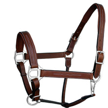 Load image into Gallery viewer, ExionPro Six Fancy Padded Halter- Brass Nickel Hardware