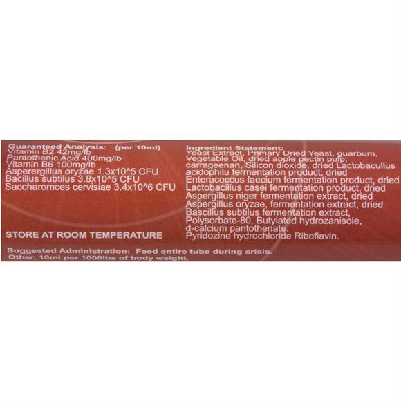 Immediate Response 80ml Paste