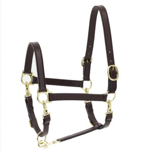 Ovation 4-Way Leather Grooming Halter