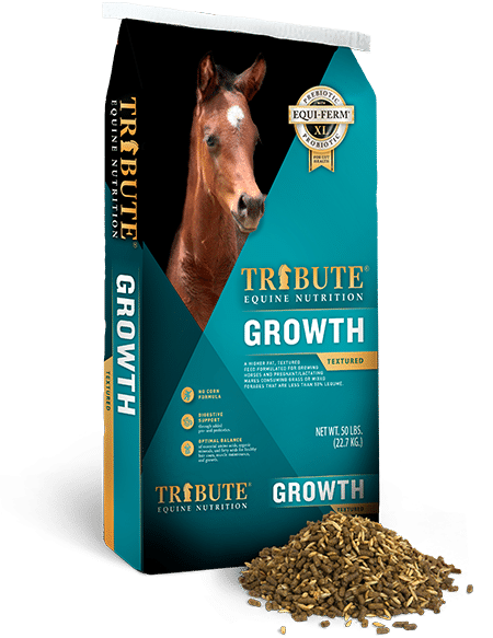 Tribute Growth Textured
