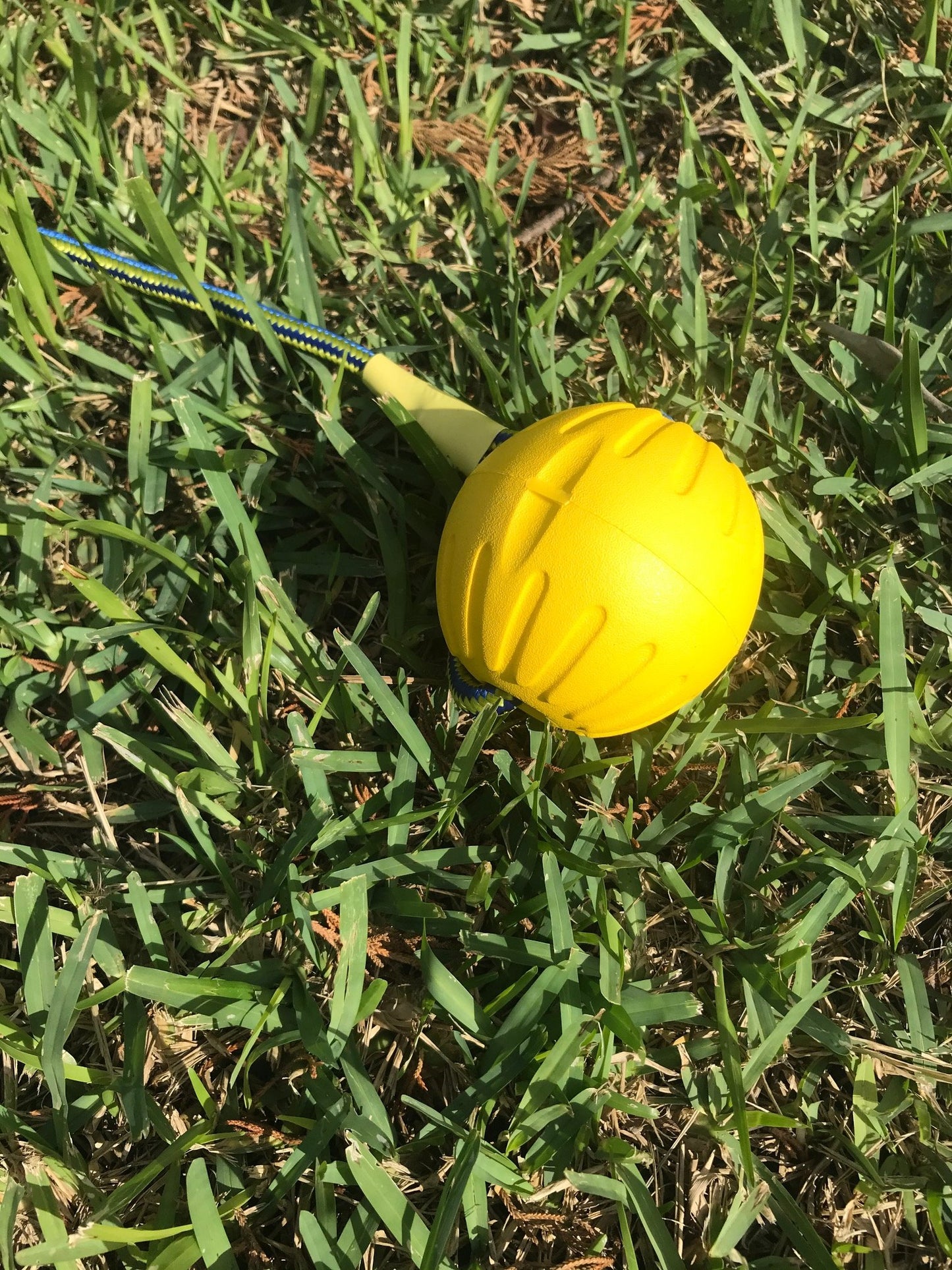 Starmark DuraFoam Fetch Ball