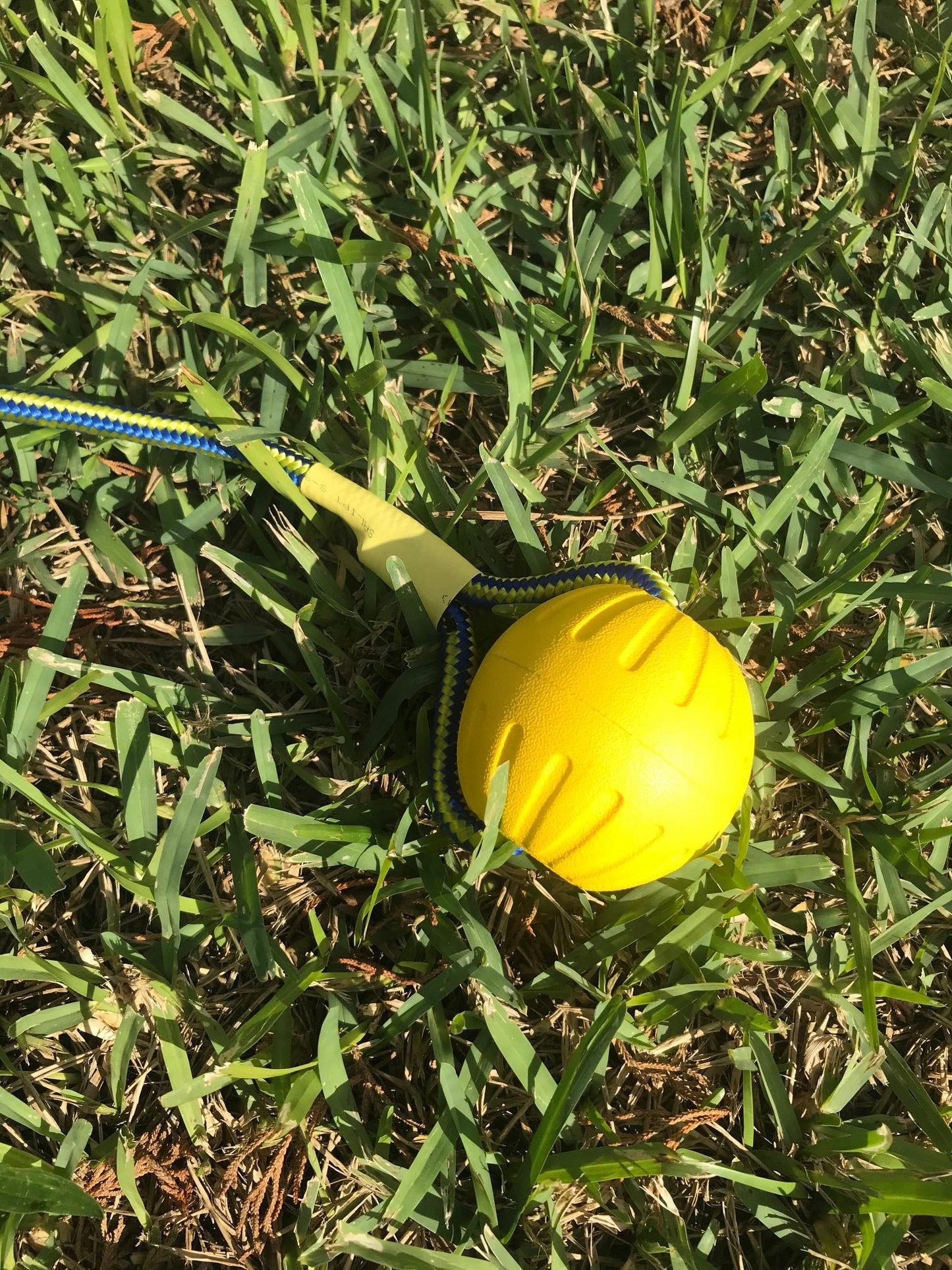 Starmark DuraFoam Fetch Ball