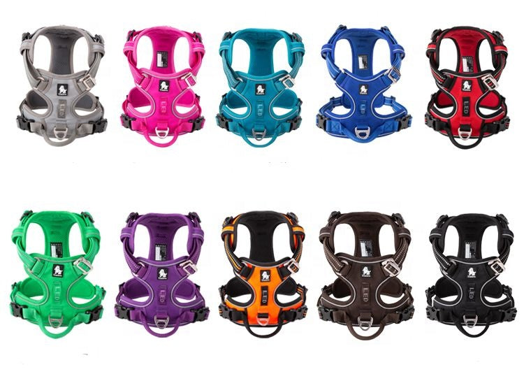 Active Canine Harness