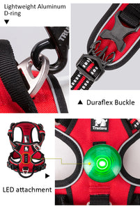 Active Canine Harness