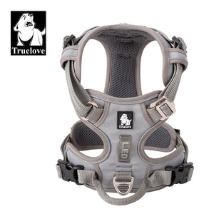 Active Canine Harness