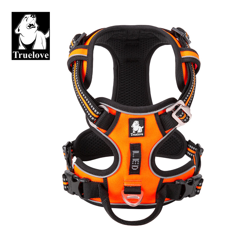 Active Canine Harness