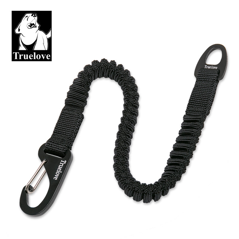 Seat Belt Bungee Leash